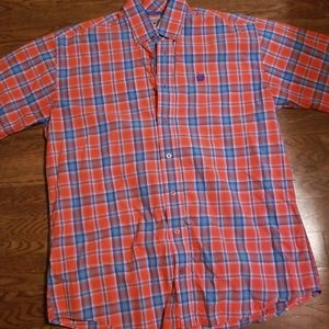 Cinch button down